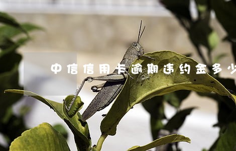 中信信用卡逾期违约金多少 中信信用卡逾期违约金多少