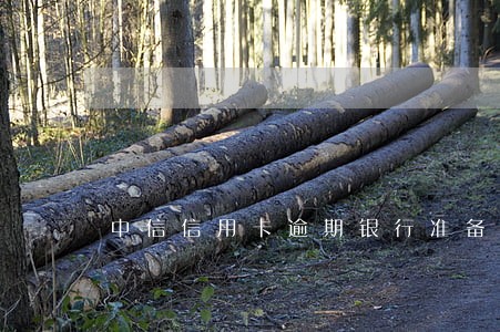 中信信用卡逾期银行准备报警 中信信用卡逾期银行准备报警