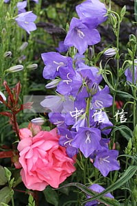 中信信用卡逾期银行要起诉我 中信信用卡逾期银行要起诉我
