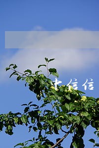 中信信用卡逾期锁定怎么协商 中信信用卡逾期锁定怎么协商