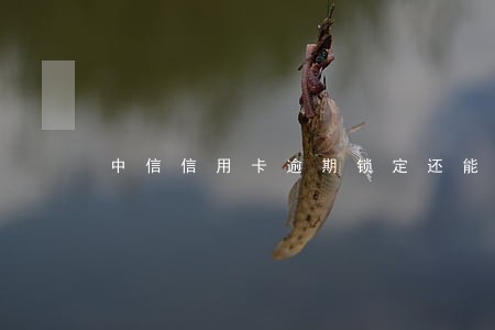 中信信用卡逾期锁定还能取现 中信信用卡逾期锁定还能取现