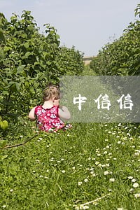 中信信用卡逾期降额 中信信用卡逾期降额