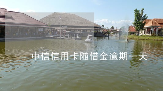 中信信用卡随借金逾期一天