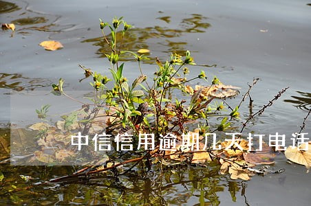 中信信用逾期几天打电话 中信信用逾期几天打电话