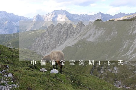 中信信金宝逾期16天 中信信金宝逾期16天