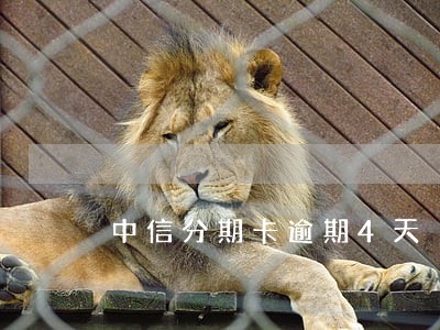 中信分期卡逾期4天 中信分期卡逾期4天