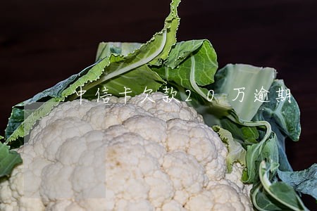 中信卡欠款20万逾期 中信卡欠款20万逾期