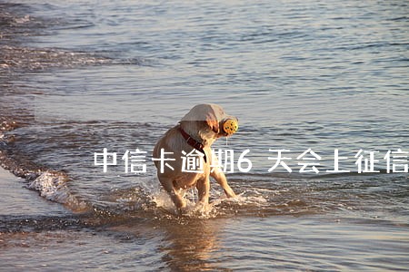 中信卡逾期6天会上征信吗 中信卡逾期6天会上征信吗