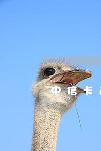 中信卡逾期6天封卡了 中信卡逾期6天封卡了