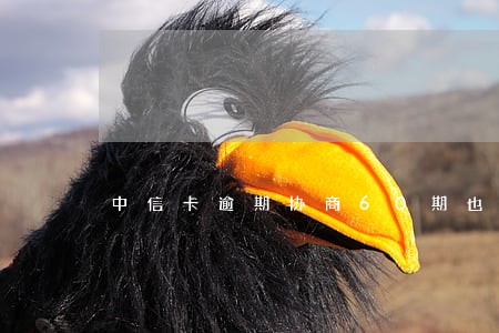中信卡逾期协商60期也无法偿还 中信卡逾期协商60期也无法偿还