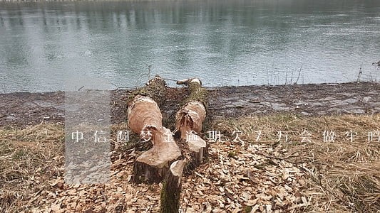 中信圆梦金逾期欠7万会做牢吗 中信圆梦金逾期欠7万会做牢吗