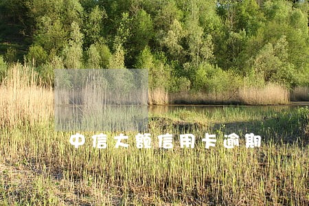中信大额信用卡逾期