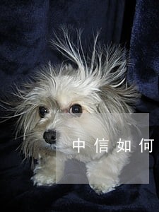 中信如何只还本金 中信如何只还本金