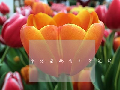 中信委托方8万逾期 中信委托方8万逾期