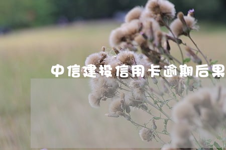 中信建投信用卡逾期后果