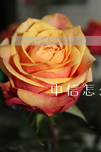中信怎么申请只还本金