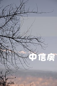 中信房贷贷款逾期一天信用记录 中信房贷贷款逾期一天信用记录