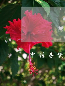中信房贷逾期20天不扣款怎么办 中信房贷逾期20天不扣款怎么办