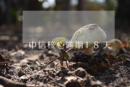 中信核心逾期18天