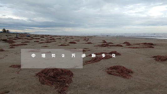 中信欠2万逾期多久 中信欠2万逾期多久