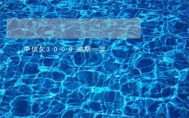 中信欠3000逾期一年