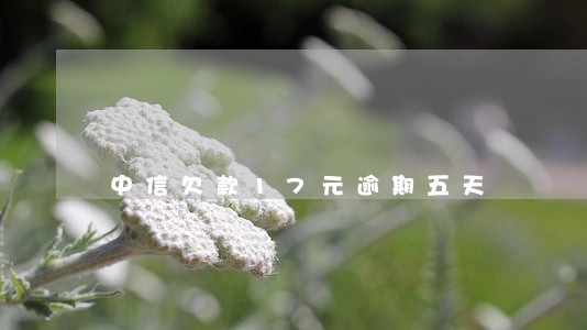 中信欠款17元逾期五天 中信欠款17元逾期五天