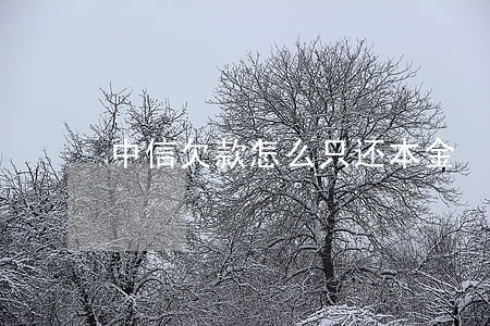 中信欠款怎么只还本金 中信欠款怎么只还本金