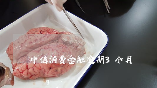 中信消费金融逾期3个月 中信消费金融逾期3个月