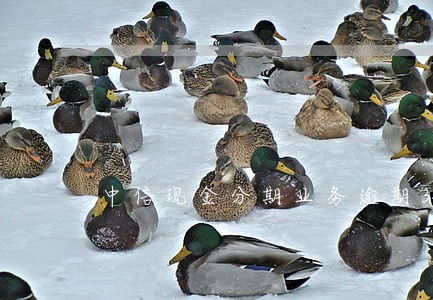 中信现金分期业务逾期3天 中信现金分期业务逾期3天