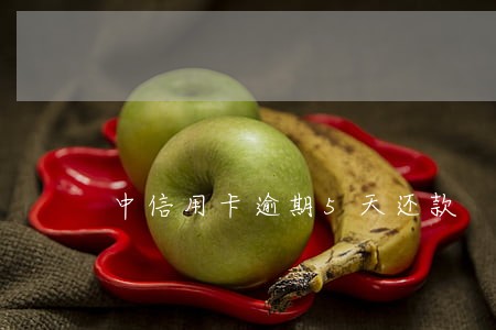 中信用卡逾期5天还款 中信用卡逾期5天还款