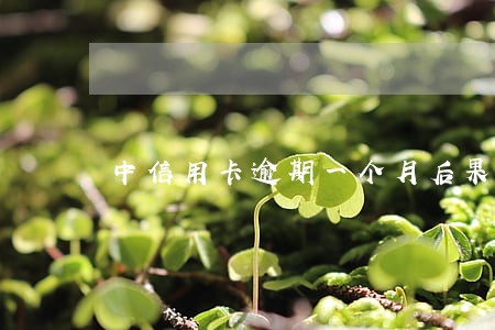 中信用卡逾期一个月后果严重 中信用卡逾期一个月后果严重