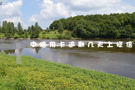 中信用卡逾期几天上征信吗 中信用卡逾期几天上征信吗