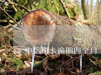 中信用卡逾期四个月 中信用卡逾期四个月