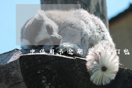 中信用卡逾期多少天打电话 中信用卡逾期多少天打电话