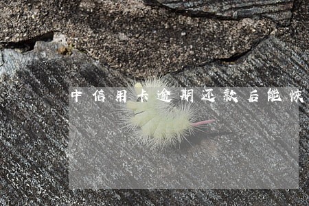 中信用卡逾期还款后能恢复 中信用卡逾期还款后能恢复