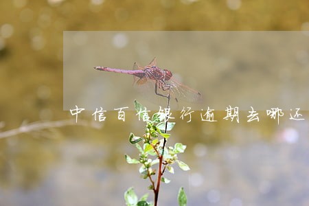 中信百信银行逾期去哪还款 中信百信银行逾期去哪还款