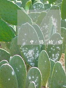 中信的信用卡逾期上门吗 中信的信用卡逾期上门吗