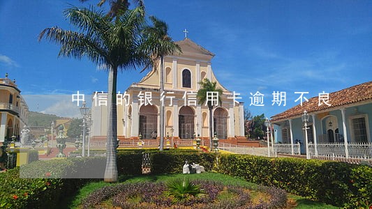 中信的银行信用卡逾期不良