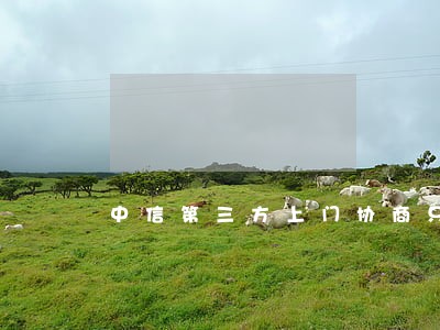 中信第三方上门协商只还本金 中信第三方上门协商只还本金