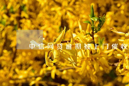 中信网贷逾期被上门催收