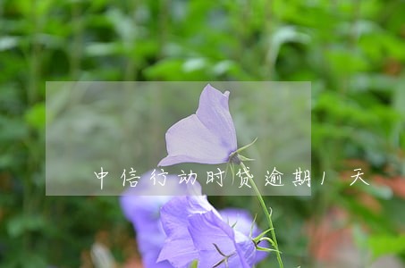 中信行动时贷逾期1天 中信行动时贷逾期1天