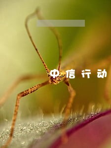 中信行动时贷逾期1年