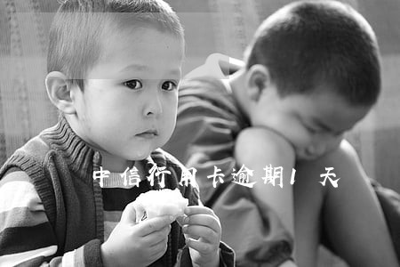 中信行用卡逾期1天 中信行用卡逾期1天