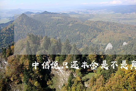 中信说只还本金是不是真的 中信说只还本金是不是真的