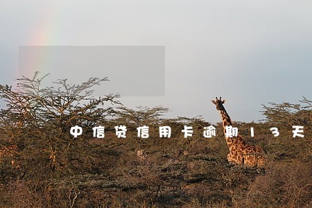 中信贷信用卡逾期13天怎么还