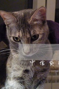 中信贷款逾期上诉 中信贷款逾期上诉