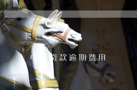 中信贷款逾期费用 中信贷款逾期费用