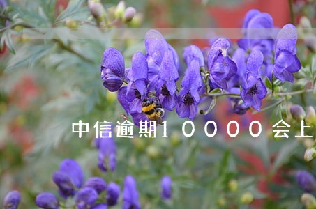 中信逾期10000会上门吗 中信逾期10000会上门吗