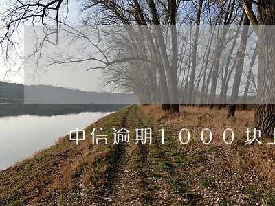 中信逾期1000块上门 中信逾期1000块上门