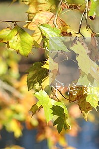 中信逾期18万半年 中信逾期18万半年